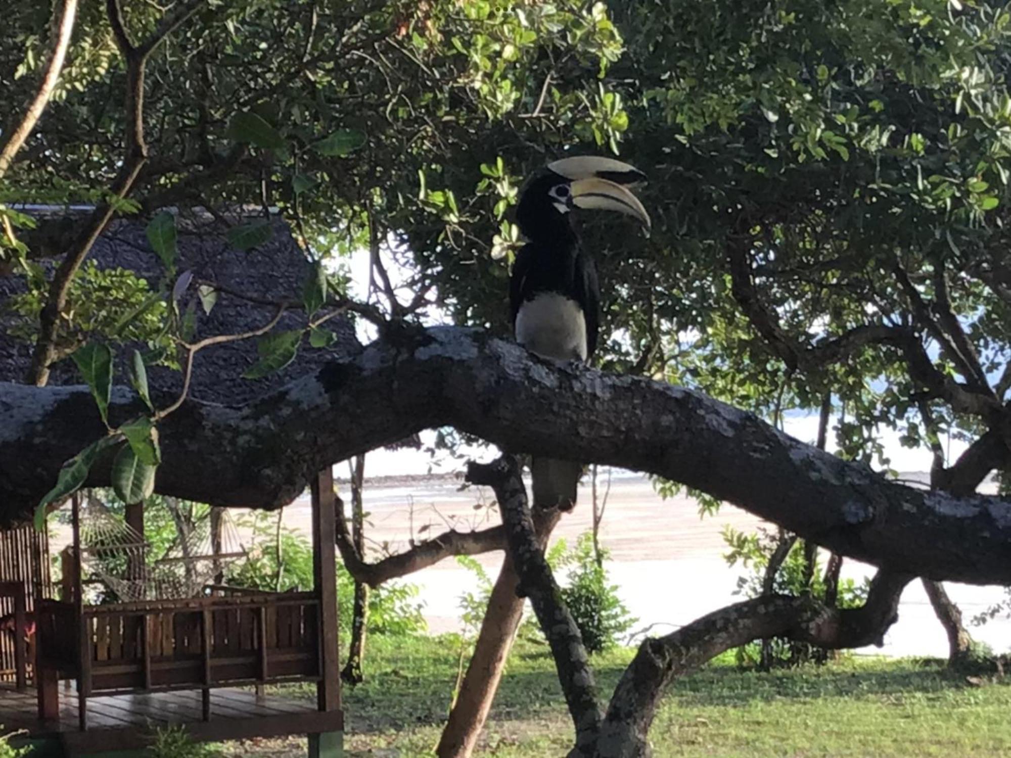 Pp Land Beach Eco Resort Koh Phayam Eksteriør bilde